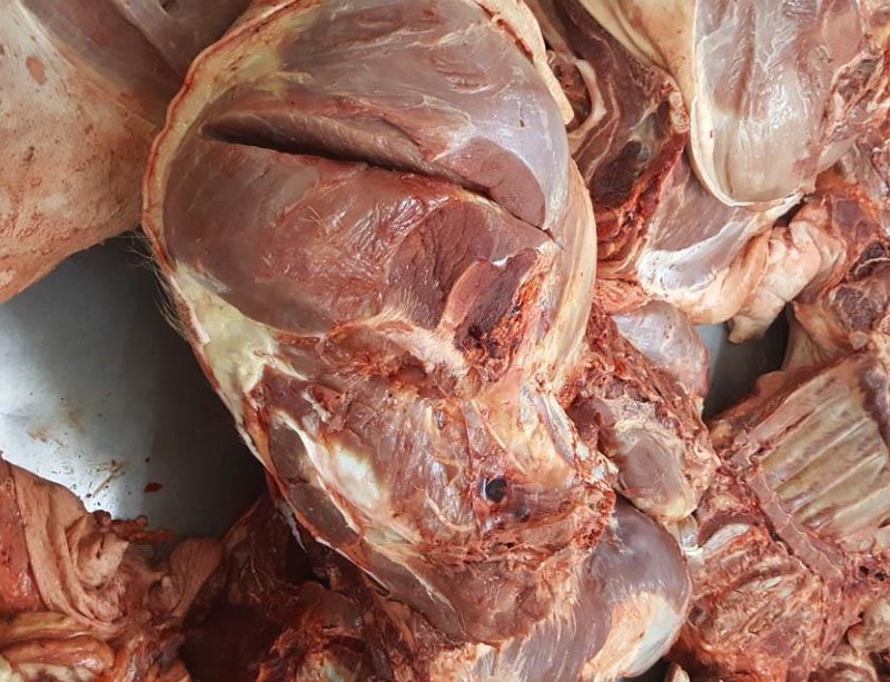 Thịt heo bệnh chợ đầu mối Hóc Môn suýt vô chợ Bình Điền - ảnh 1