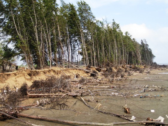 Natural disasters bring about US$13.55 million damage in Southern Vietnam