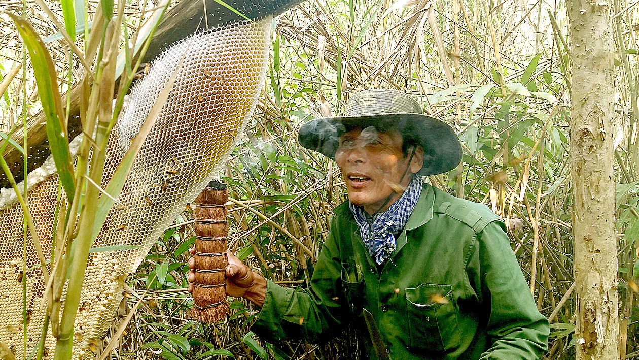 Thị trường mật ong thật giả lẫn lộn: Mua bằng lòng tin