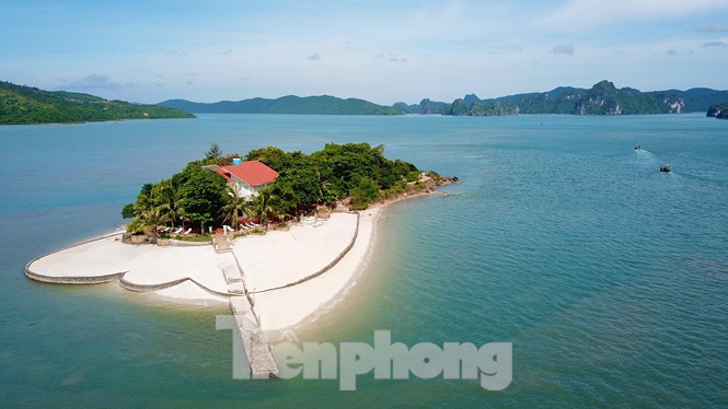 Hàng loạt đảo trên vịnh Bái Tử Long bị các đại gia chiếm làm “vương quốc” riêng - ảnh 1