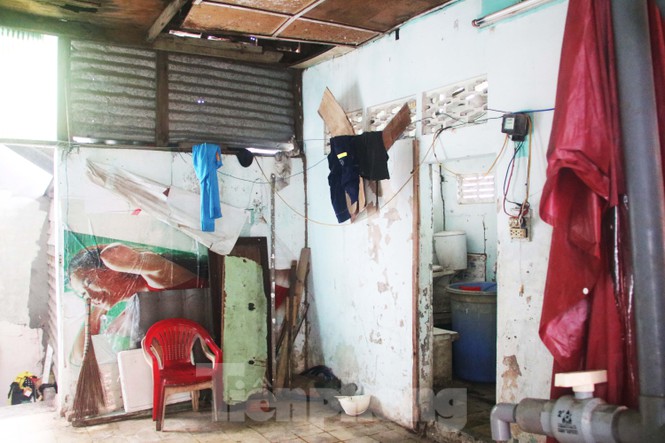 Cận cảnh những khu tập thể “ổ chuột”, nguy cơ đổ sập ở trung tâm Đà Nẵng - ảnh 3