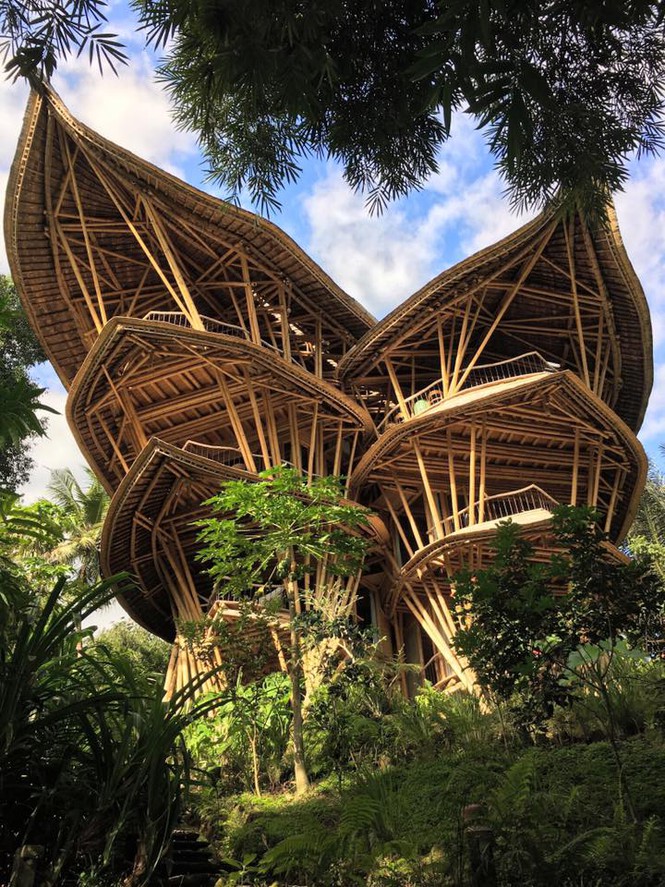 Ngỡ ngàng 'biệt thự tre' 6 tầng tuyệt đẹp giữa rừng - ảnh 1