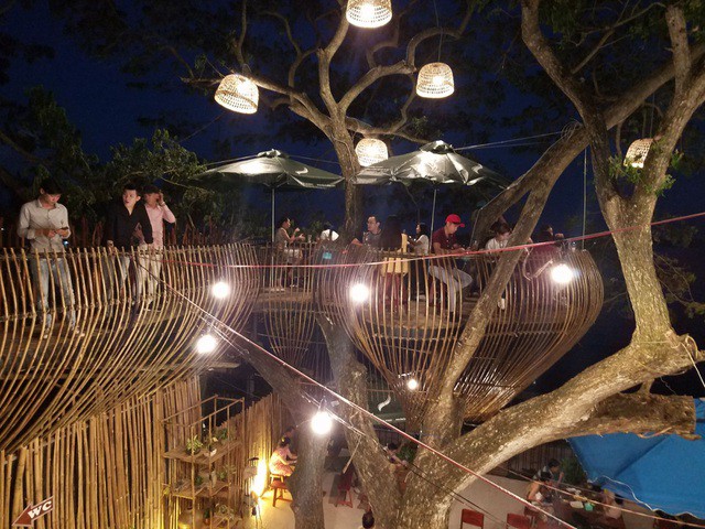 Cận cảnh những ngôi nhà 'treo mình' trên cây, 'độc' nhất Việt Nam - ảnh 11