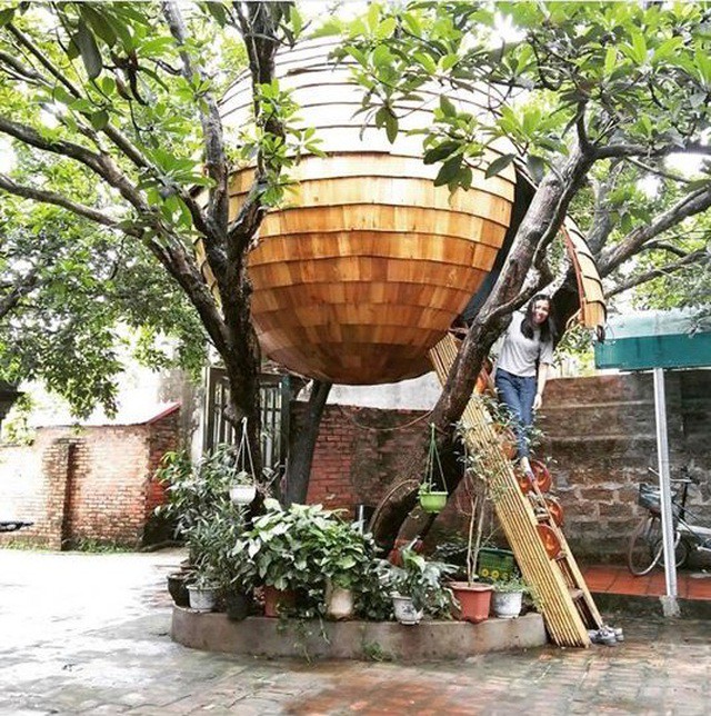 Cận cảnh những ngôi nhà treo mình trên cây độc nhất Việt Nam  Báo Dân  trí