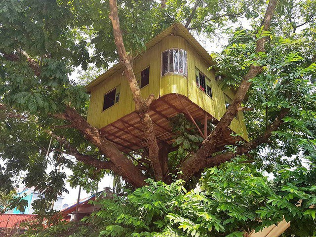 Cận cảnh những ngôi nhà 'treo mình' trên cây, 'độc' nhất Việt Nam - ảnh 8