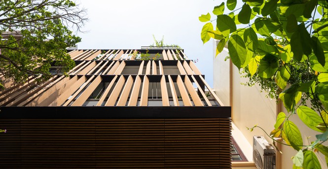 Thiết kế đặc biệt giúp nhà phố hướng Tây mát rượi không cần điều hòa - ảnh 6