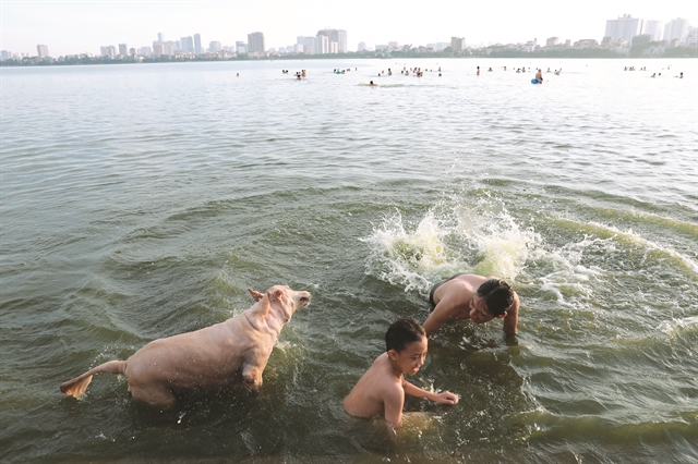 Taking a dip to cool off in the capital