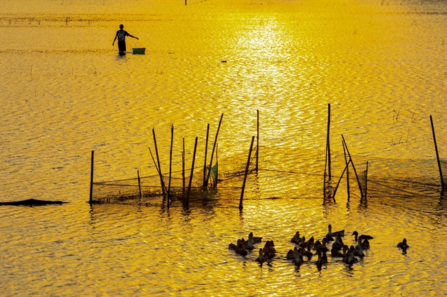 Bounty of the flood season