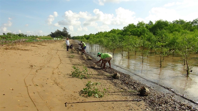 Trà Vinh to build two erosion prevention projects
