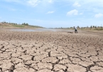 Drought, saltwater dry up Mekong Delta’s largest reservoir