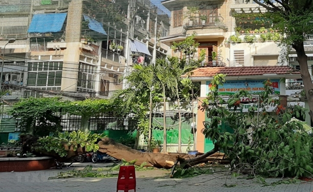 One student killed, 12 injured as tree falls at school