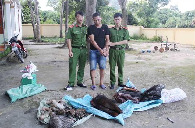 Nghe An police uncover wildlife trafficking ring from Lao to Vietnam