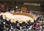 Vietnam enhances its role thanks to joining UNSC activities