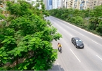 Authority plans to make Hanoi greener