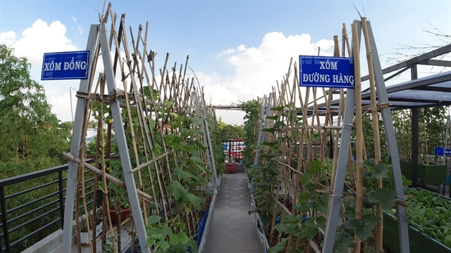 Rooftop garden is peaceful retreat, food resource for HCM City family