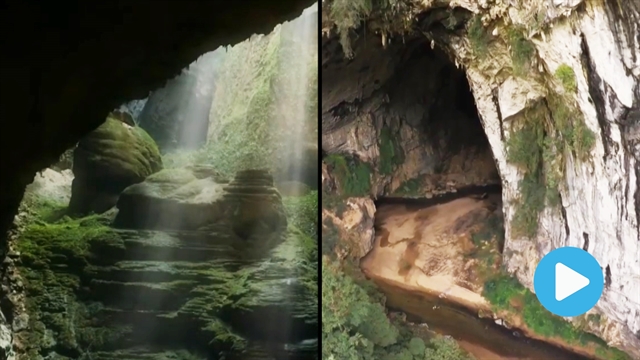 Vietnam's caves among world's largest