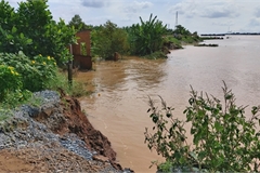 VIETNAM NEWS HEADLINES AUGUST 1