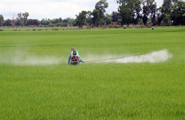 The use of pesticide in Mekong Delta remains high