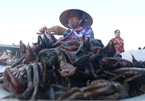 Flood season in Vietnam's Mekong Delta