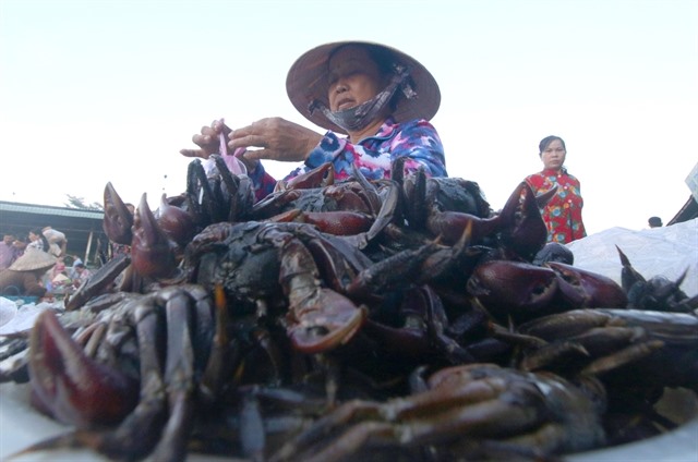 Flood season in Vietnam's Mekong Delta