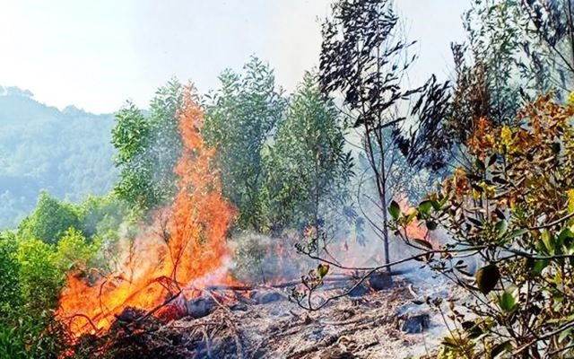 Vietnam's central region continues to suffer summer heat