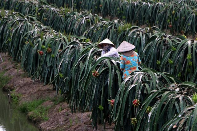 VIETNAM NEWS HEADLINES JULY 14