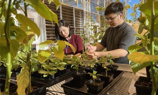 Female doctor passionate in discovering plants’ secret