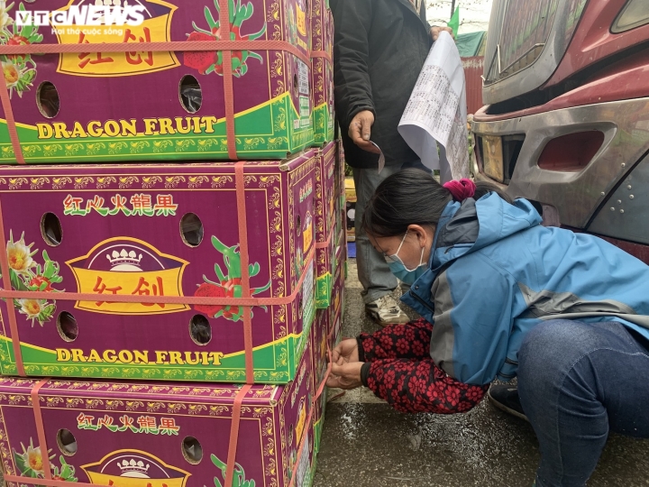 Nghề lạ 'hái ra tiền' ở cửa khẩu Lạng Sơn - 10