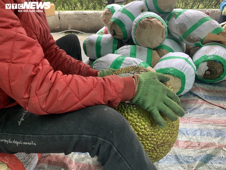 Nghề lạ 'hái ra tiền' ở cửa khẩu Lạng Sơn - 6