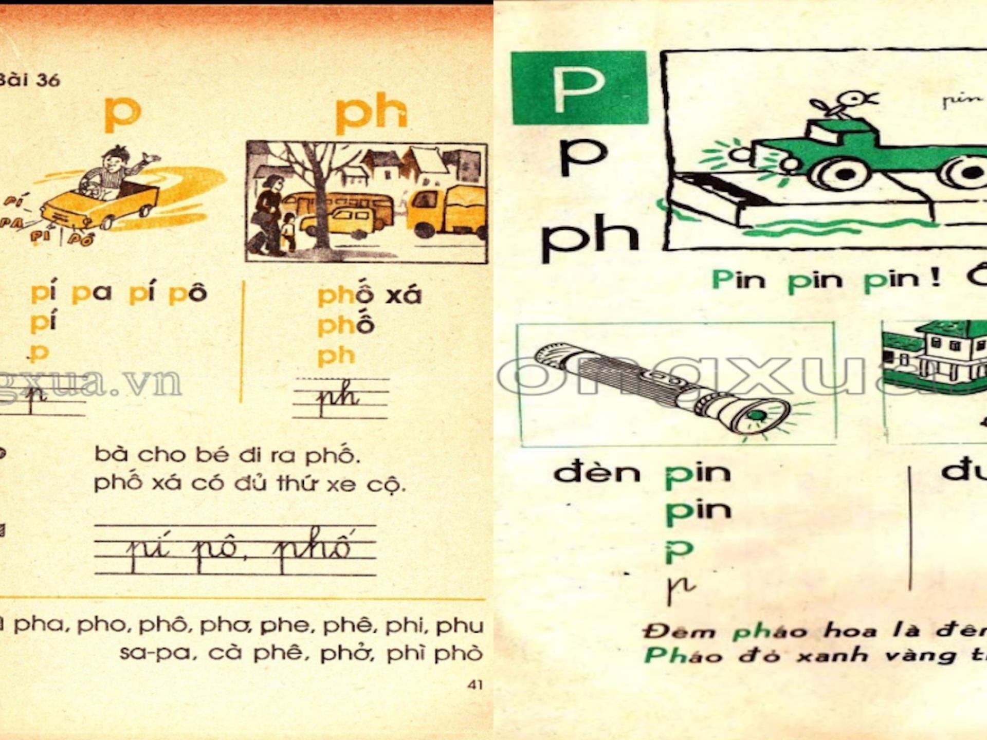 Tiếng Việt 1 không dạy chữ P: 'Cải tiến hoá cải lùi, sai lầm nghiêm trọng' - 2