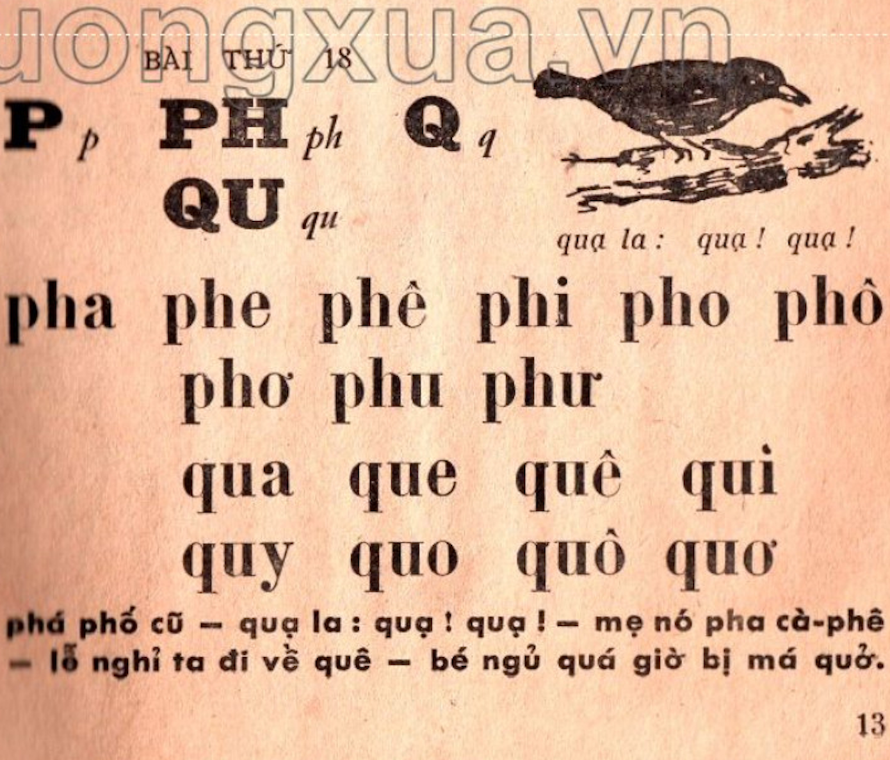 Tiếng Việt 1 không dạy chữ P: 'Cải tiến hoá cải lùi, sai lầm nghiêm trọng' - 3