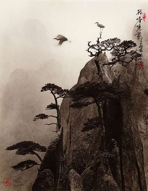 Don-Hong-Oai6.jpg