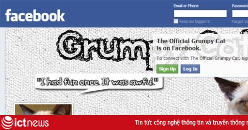 Chó mèo còn tốt hơn Facebook