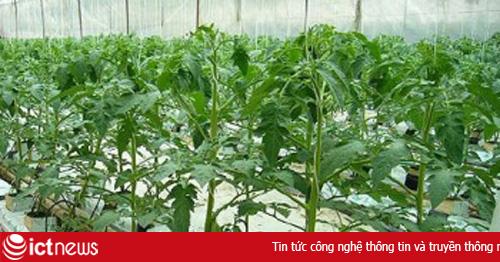 Biết ứng dụng CNTT, nông dân Việt có thể 'giàu hơn cả Apple'