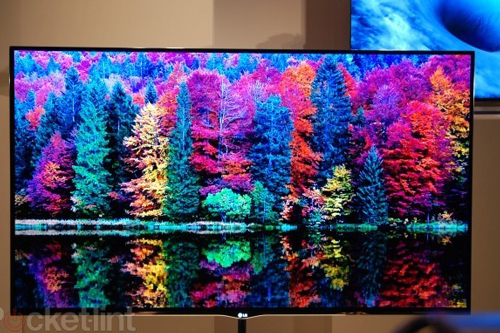 lg55em9600-oled-tv-pictures-hands-on-0.jpg