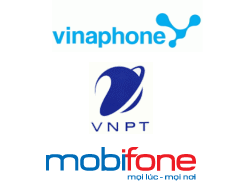 VNPT-khong-duoc-so-huu-dong-thoi-hai-mang-di-dong-1.png
