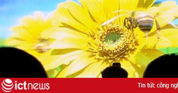 Màn hình 3D lớn nhất thế giới rộng 200 inch