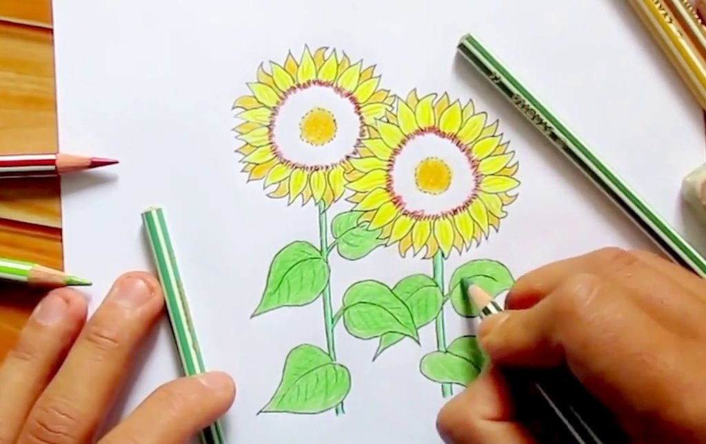 Cách vẽ hoa hướng dương  Dạy Vẽ