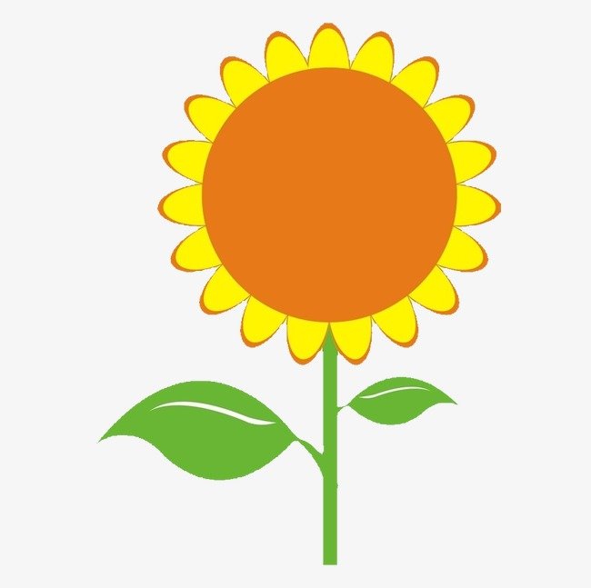 Hình hoa hướng dương: Hình ảnh hoa hướng dương mang đến cho bạn không gian sống ngập tràn sức sống và tươi mới. Hãy cảm nhận được sự tươi mới của mùa hè khi mở ảnh hoa lên. Click để xem hình nào!
