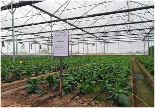 VNPT Technology xây dựng giải pháp thông minh hỗ trợ ngành nông nghiệp