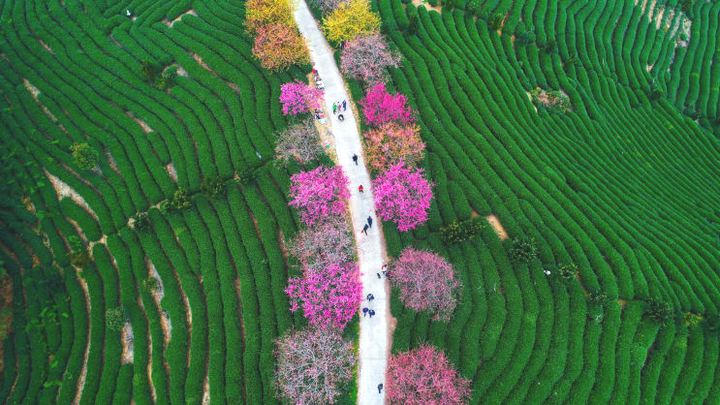 Chiêm ngưỡng loạt ảnh du lịch đẹp nhất thế giới năm 2018, Cầu Vàng tại Đà Nẵng cũng góp mặt