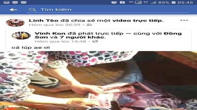 Hà Tĩnh: Truy tìm nhóm người giết cá heo còn livestream lên MXH gây phẫn nộ