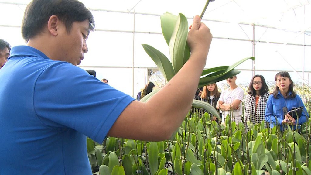 Nông nghiệp công nghệ cao phải xác định chỗ đứng và nhu cầu thị trường