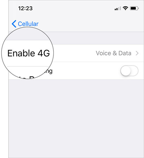 Cách sửa lỗi kết nối 3G/4G trên iOS 12.1.2