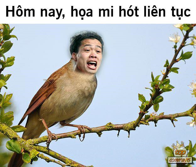 Anh che 'hoa mi' Cong Phuong sang nhat hiep 1 tran Viet Nam - Iraq hinh anh 3