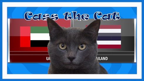 Mèo Cass đoán trận Nhật Bản vs Saudi Arabia: Đội nào sẽ gặp Việt Nam ở Tứ kết?