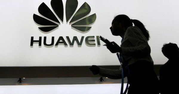 Bê bối gián điệp của Huawei ở Ba Lan: Kiến có thể giết chết voi