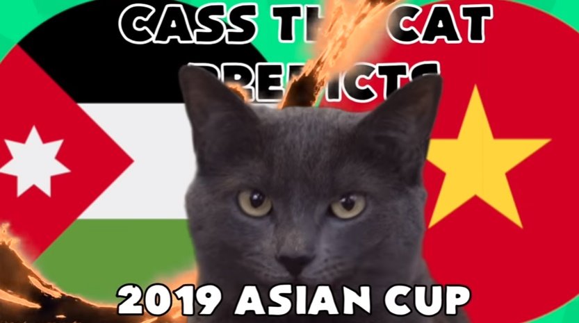 Trận Việt Nam vs Jordan: Bất ngờ với lựa chọn của mèo tiên tri Cass