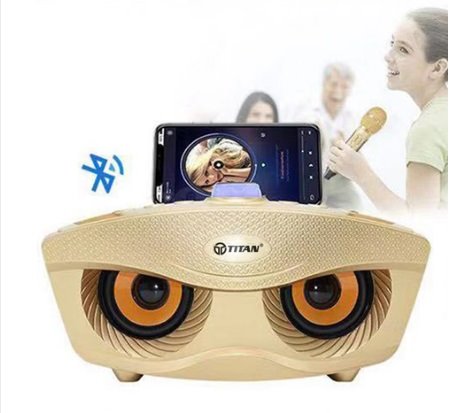 Sắm loa bluetooth 2 micro hát karaoke ngày Tết