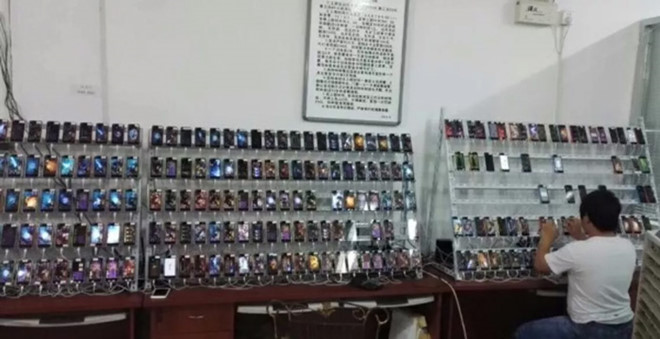 'Toi di mua like ao nhu lua rau tren Taobao' hinh anh 2